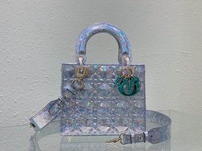 DIOR Handbags 1105